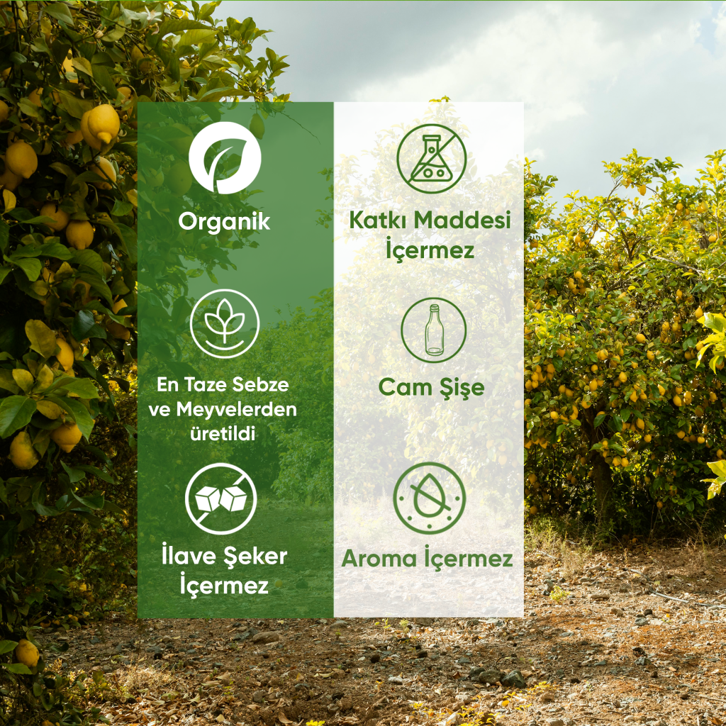 Hamile Anne İçeceği 200 Ml Hamile Anne İçeceği 200 Ml