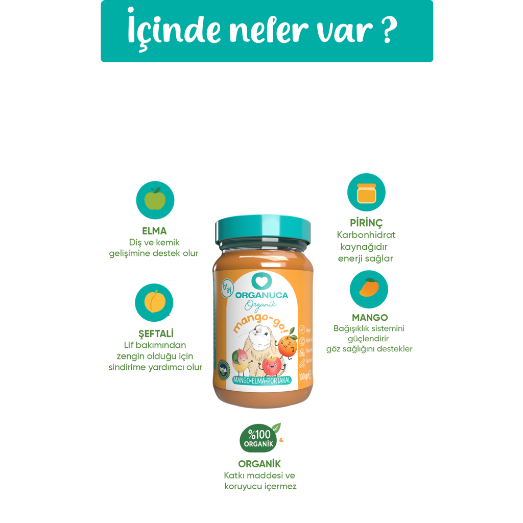 Organik Ek Gıda Mango-Go 100 G Organik Ek Gıda Mango-Go 100 G