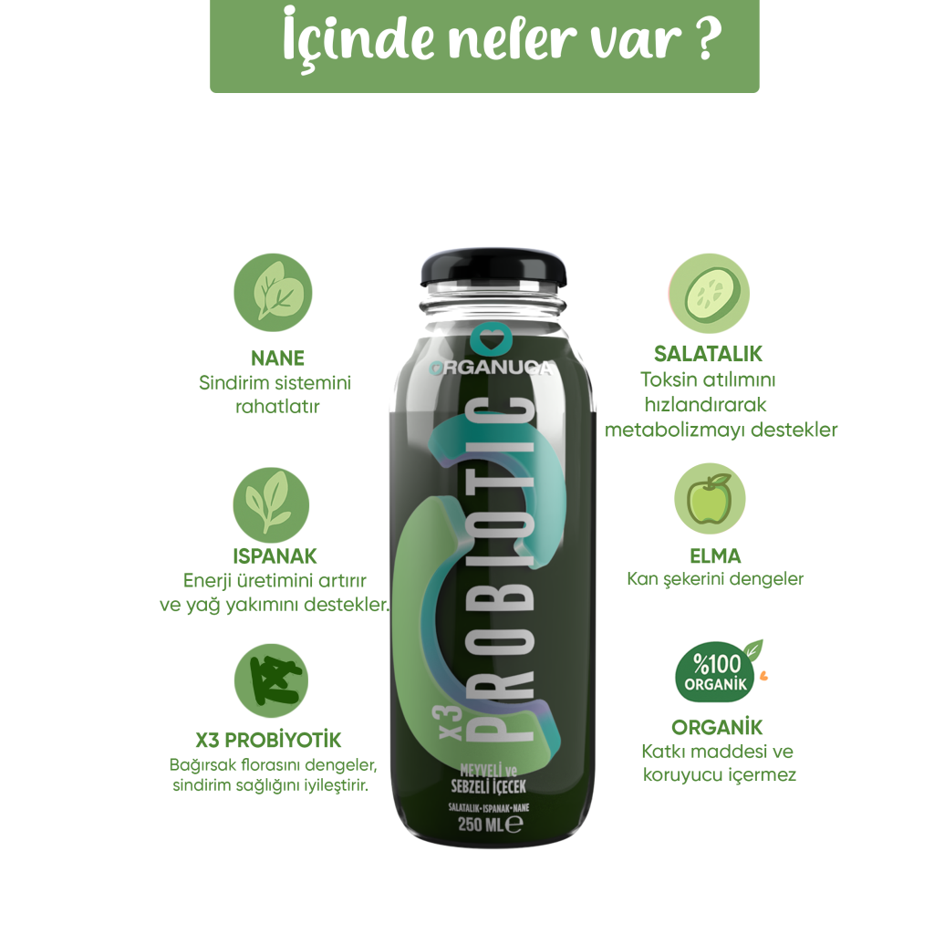 Probıotıc Smoothıe 250Ml Probıotıc Smoothıe 250Ml