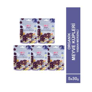 5'li Organik Yaban Mersinli Meyve Küpleri (5 x 30 Gr)