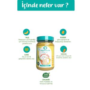 Organik Ek Gıda Carrot-Joy 100 G
